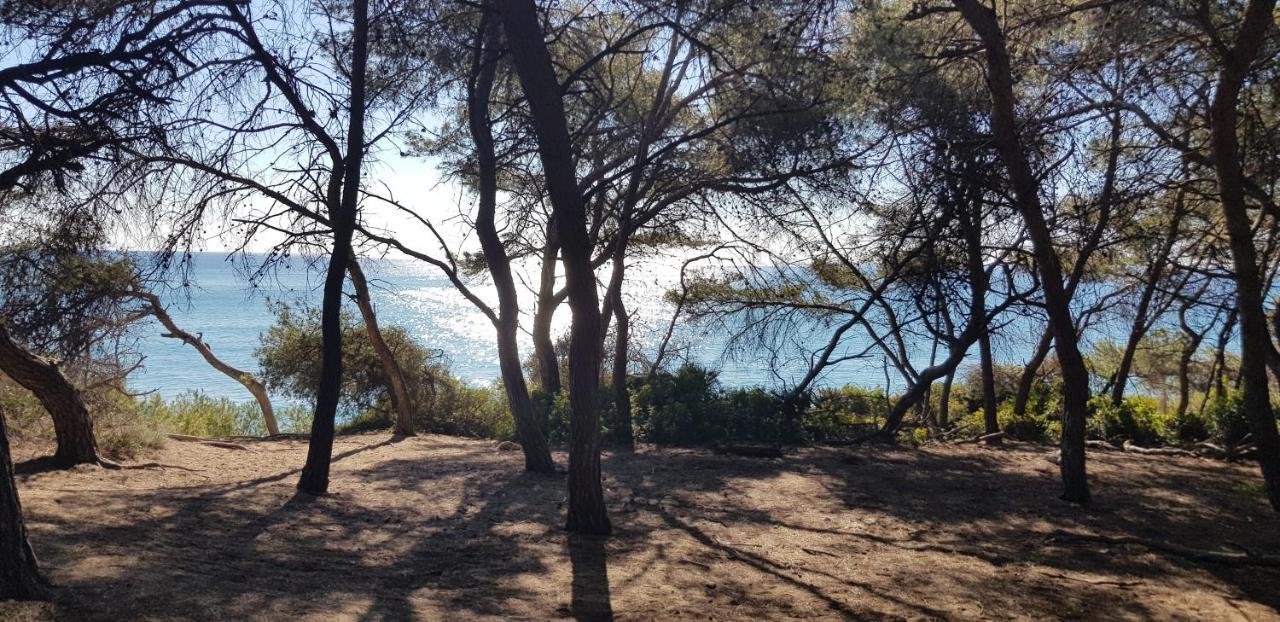 Preciosa Zona Natural La Mora Villa Tarragona Kültér fotó